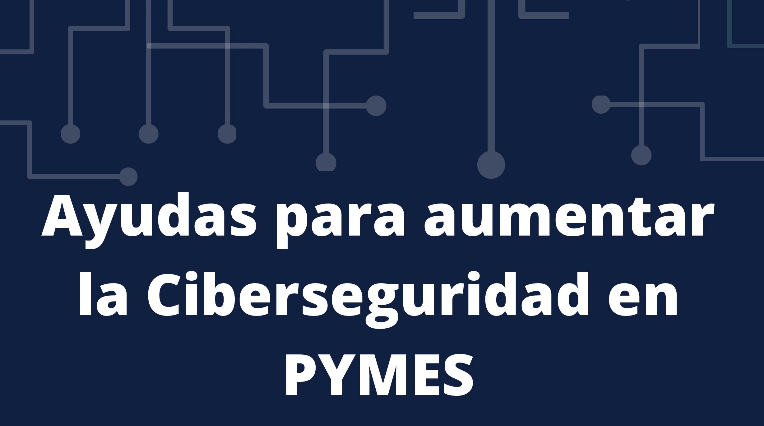 Programa Ciberseguridad Pymes