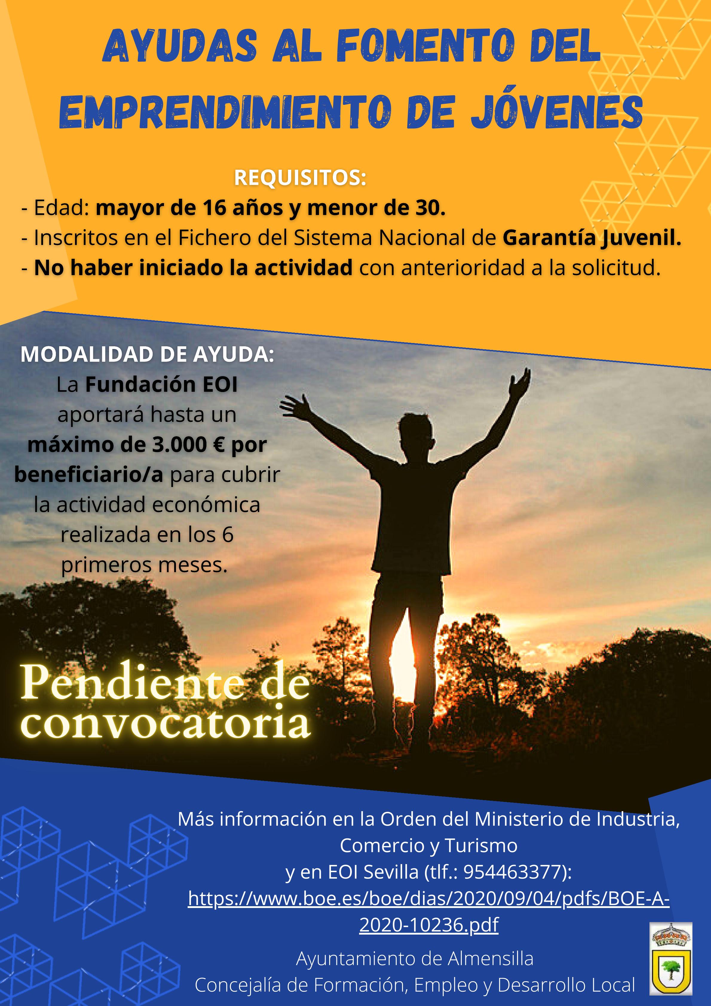 Ayudas al fomento del emprendimiento de jóvenes