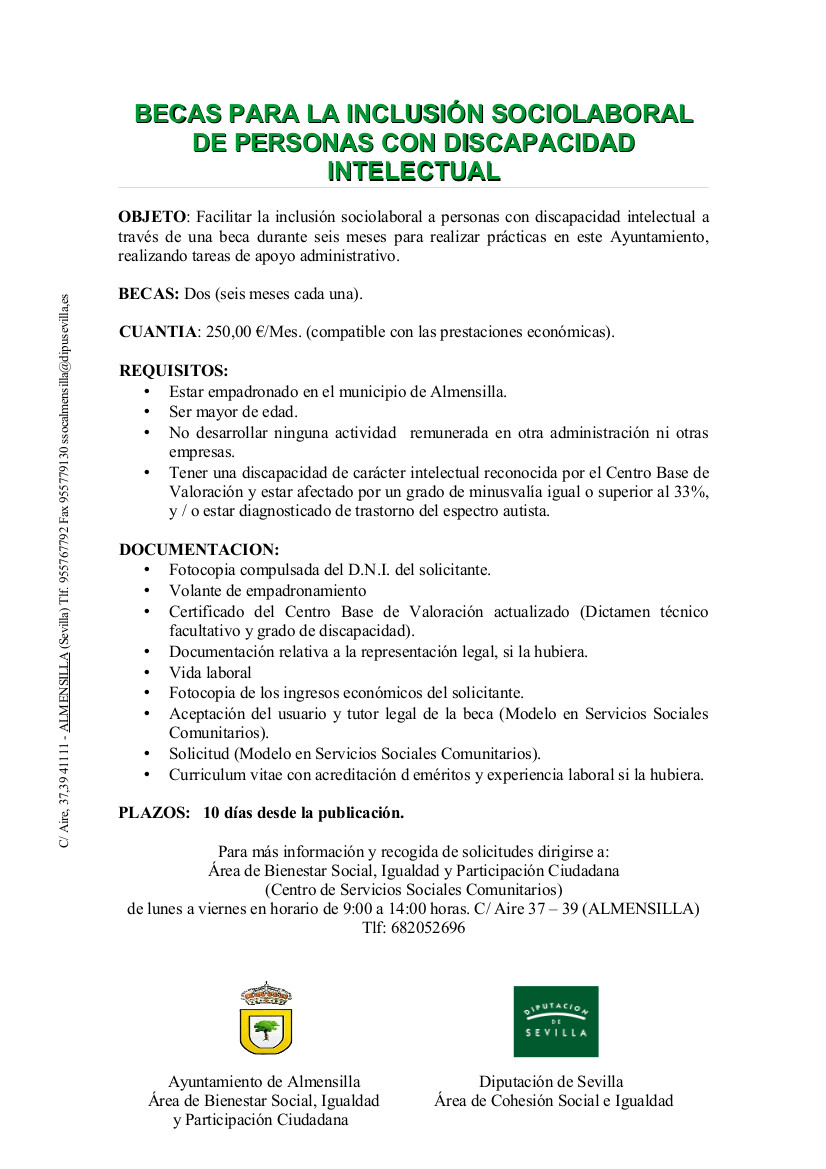 Cartel Beca Inclusión